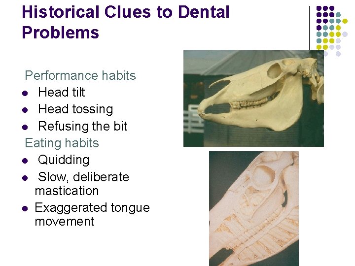 Historical Clues to Dental Problems Performance habits l Head tilt l Head tossing l