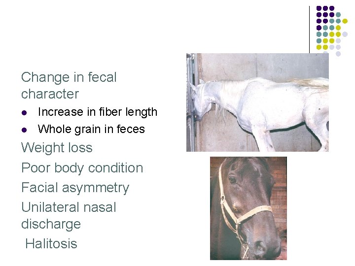 Change in fecal character l l Increase in fiber length Whole grain in feces