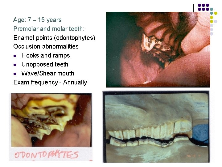 Age: 7 – 15 years Premolar and molar teeth: Enamel points (odontophytes) Occlusion abnormalities