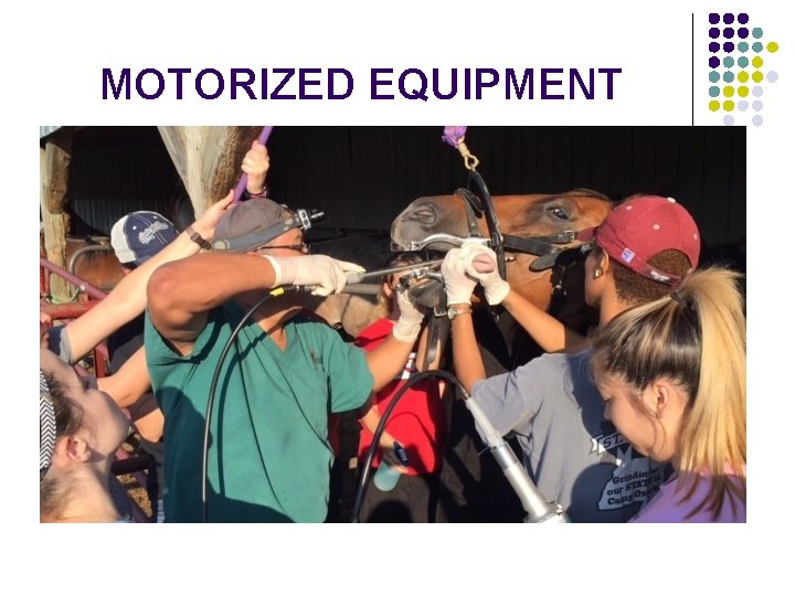 MOTORIZED EQUIPMENT 