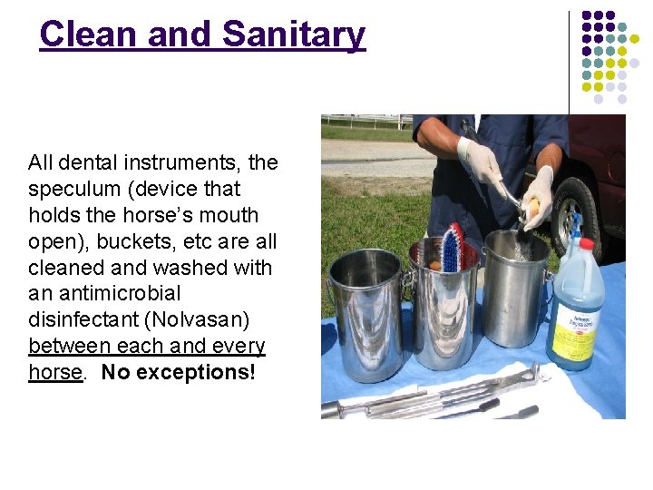 Clean and Sanitary All dental instruments, the speculum (device that holds the horse’s mouth