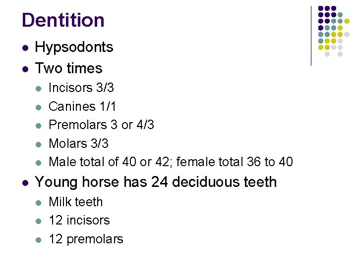 Dentition l l Hypsodonts Two times l l l Incisors 3/3 Canines 1/1 Premolars