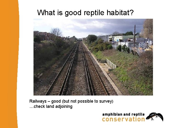 What is good reptile habitat? Railways – good (but not possible to survey) …check