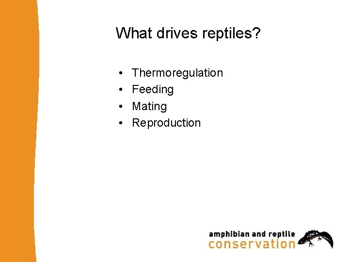 What drives reptiles? • • Thermoregulation Feeding Mating Reproduction 
