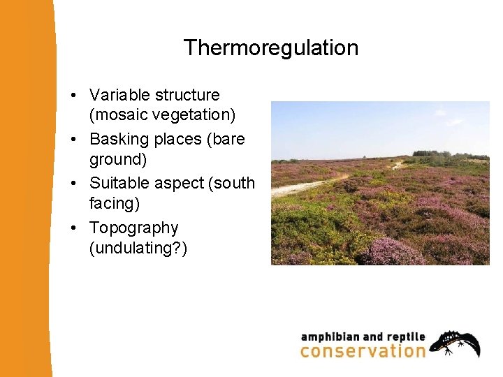 Thermoregulation • Variable structure (mosaic vegetation) • Basking places (bare ground) • Suitable aspect
