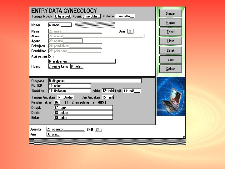 Entri Data Gynecology 