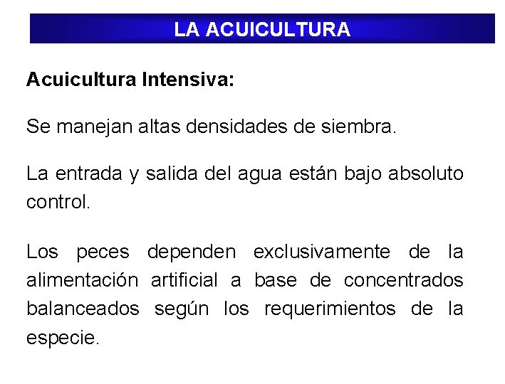 LA ACUICULTURA Acuicultura Intensiva: Se manejan altas densidades de siembra. La entrada y salida