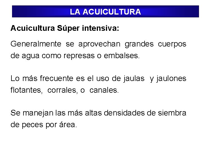 LA ACUICULTURA Acuicultura Súper intensiva: Generalmente se aprovechan grandes cuerpos de agua como represas