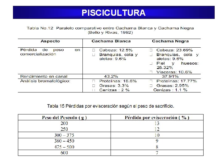 PISCICULTURA 