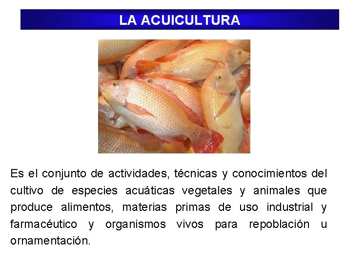 LA ACUICULTURA Es el conjunto de actividades, técnicas y conocimientos del cultivo de especies