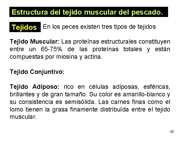 Estructura del tejido muscular del pescado. Tejidos En los peces existen tres tipos de