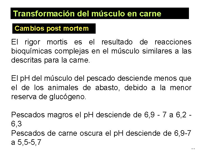 Transformación del músculo en carne Cambios post mortem El rigor mortis es el resultado