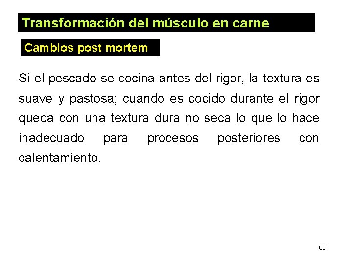 Transformación del músculo en carne Cambios post mortem Si el pescado se cocina antes Transformación del músculo en carne Cambios post mortem Si el pescado se cocina antes