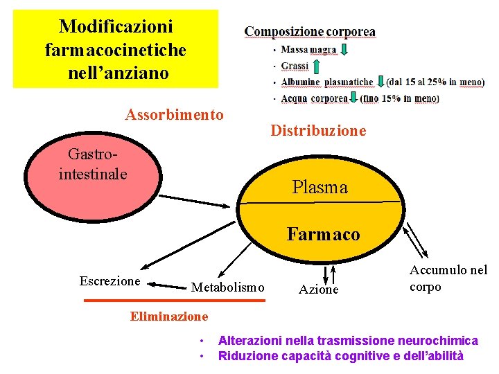 Modificazioni farmacocinetiche nell’anziano Assorbimento Gastrointestinale Distribuzione Plasma Farmaco Escrezione Metabolismo Azione Accumulo nel corpo