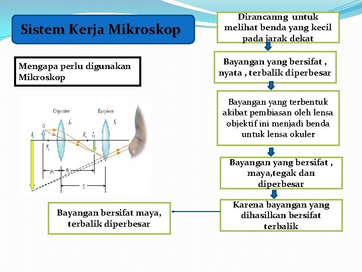 Sistem Kerja Mikroskop Mengapa perlu digunakan Mikroskop Dirancanng untuk melihat benda yang kecil pada