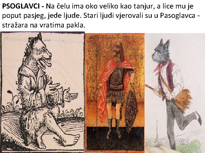 PSOGLAVCI - Na čelu ima oko veliko kao tanjur, a lice mu je poput