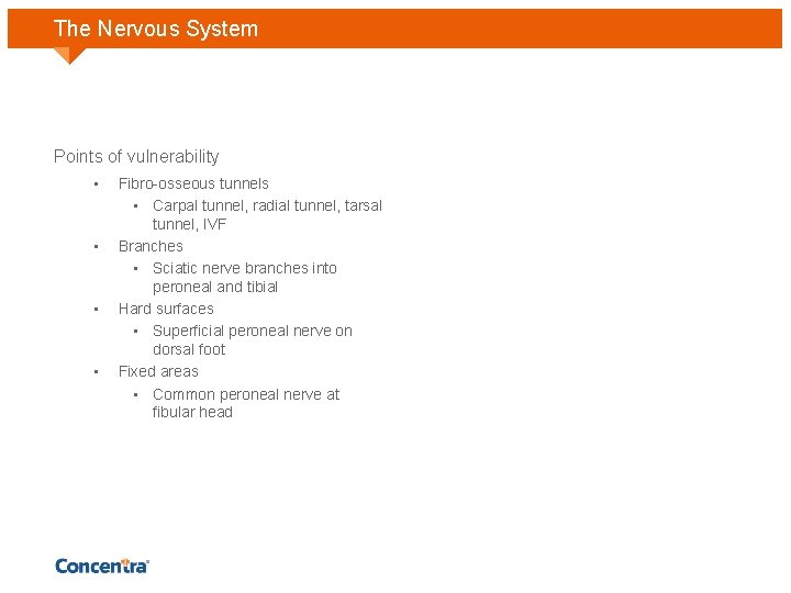The Nervous System Points of vulnerability • • Fibro-osseous tunnels • Carpal tunnel, radial