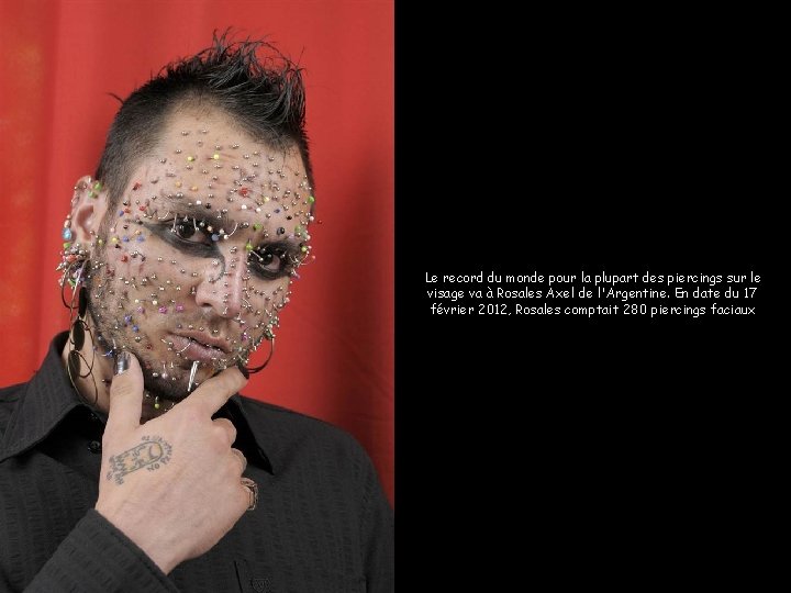 Zeus, le plus grand chien du. Lemonde qui record du monde pour la plupart