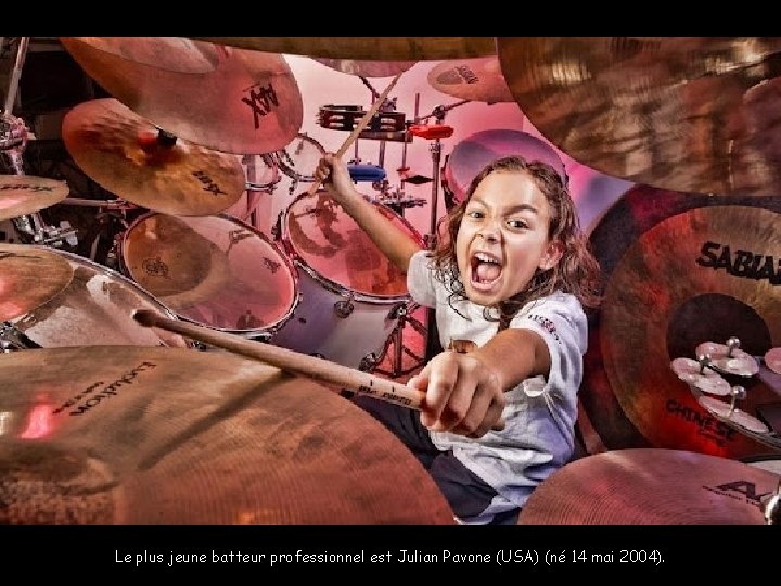 Zeus, le plus grand chien du monde qui engloutit 14 kilos de viande par