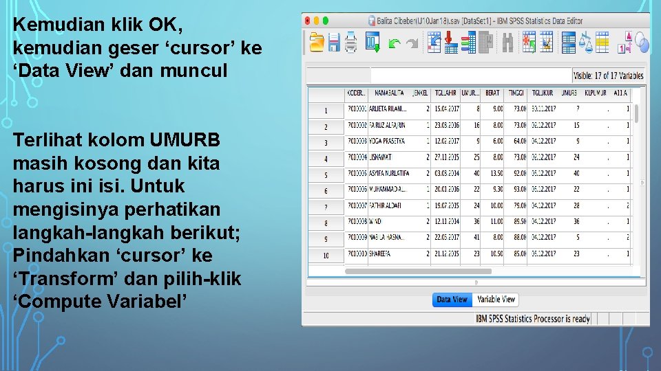 Kemudian klik OK, kemudian geser ‘cursor’ ke ‘Data View’ dan muncul Terlihat kolom UMURB