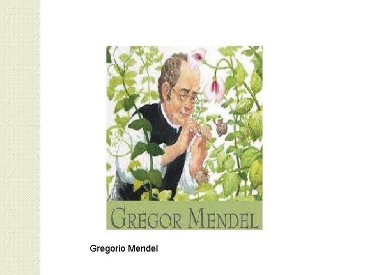 Gregorio Mendel 