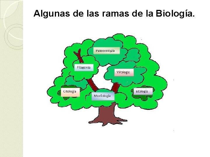 Algunas de las ramas de la Biología. 