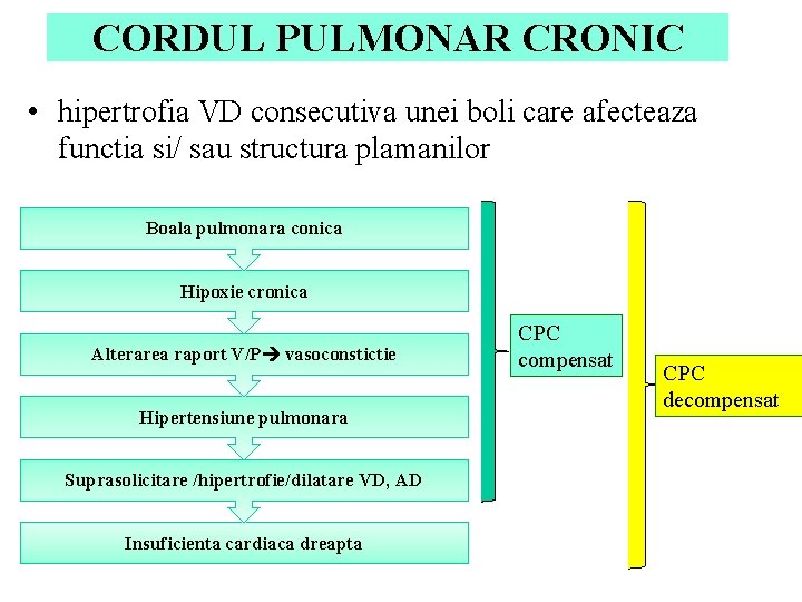 CORDUL PULMONAR CRONIC • hipertrofia VD consecutiva unei boli care afecteaza functia si/ sau