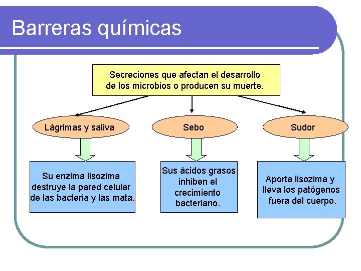 Barreras químicas Secreciones que afectan el desarrollo de los microbios o producen su muerte.