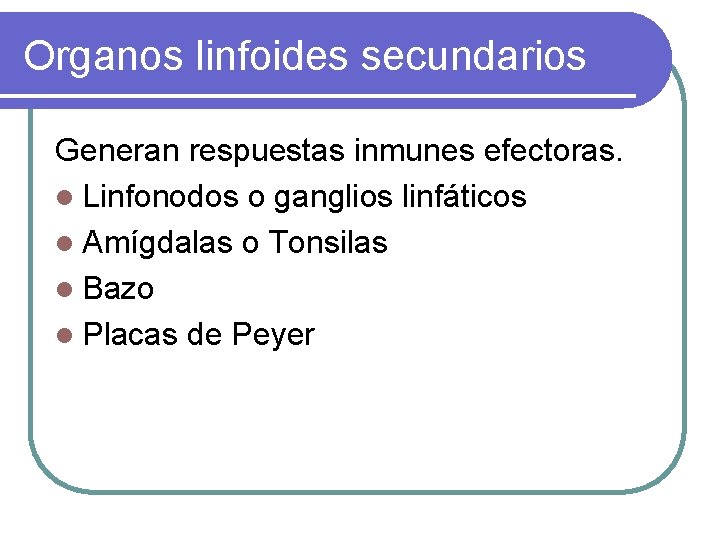 Organos linfoides secundarios Generan respuestas inmunes efectoras. l Linfonodos o ganglios linfáticos l Amígdalas