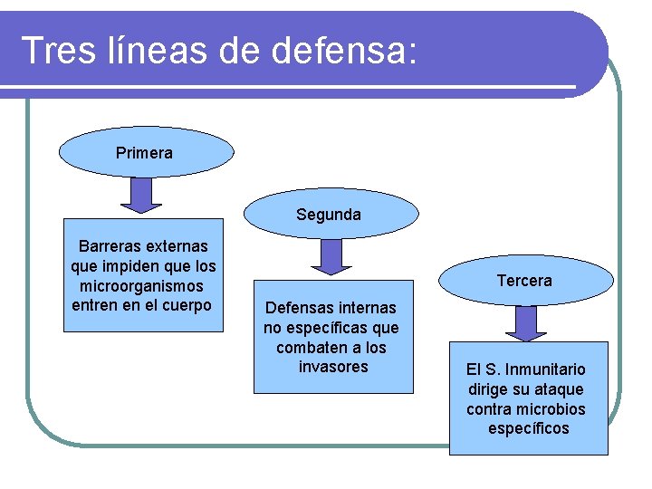 Tres líneas de defensa: Primera Segunda Barreras externas que impiden que los microorganismos entren
