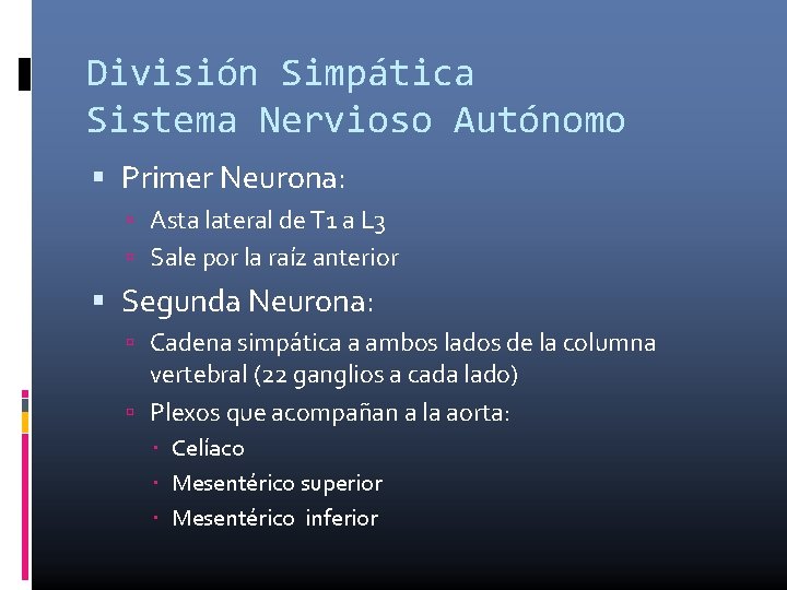División Simpática Sistema Nervioso Autónomo Primer Neurona: Asta lateral de T 1 a L