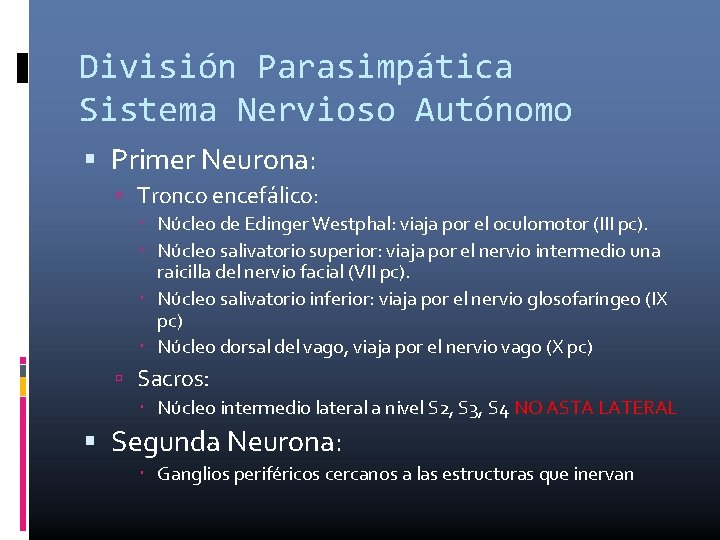 División Parasimpática Sistema Nervioso Autónomo Primer Neurona: Tronco encefálico: Núcleo de Edinger Westphal: viaja