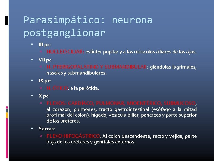 Parasimpático: neurona postganglionar III pc: NUCLEO CILIAR: esfínter pupilar y a los músculos ciliares