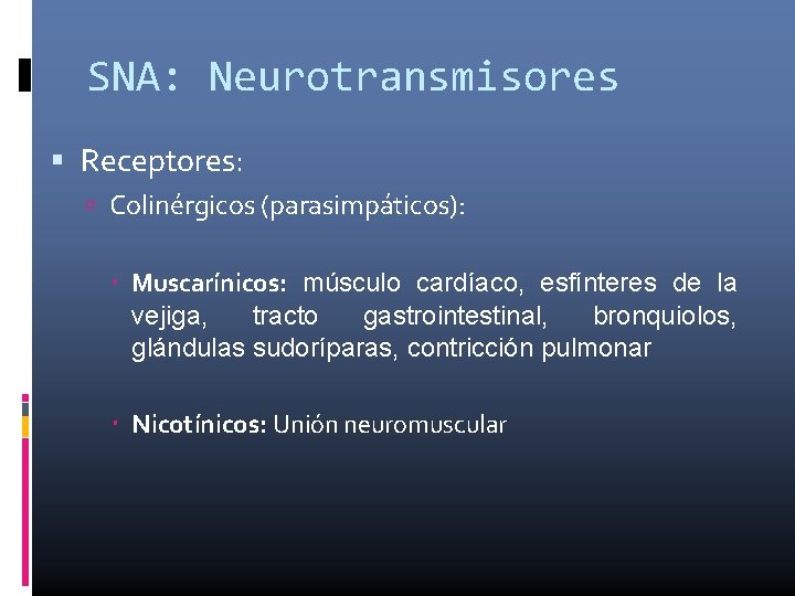 SNA: Neurotransmisores Receptores: Colinérgicos (parasimpáticos): Muscarínicos: músculo cardíaco, esfínteres de la vejiga, tracto gastrointestinal,