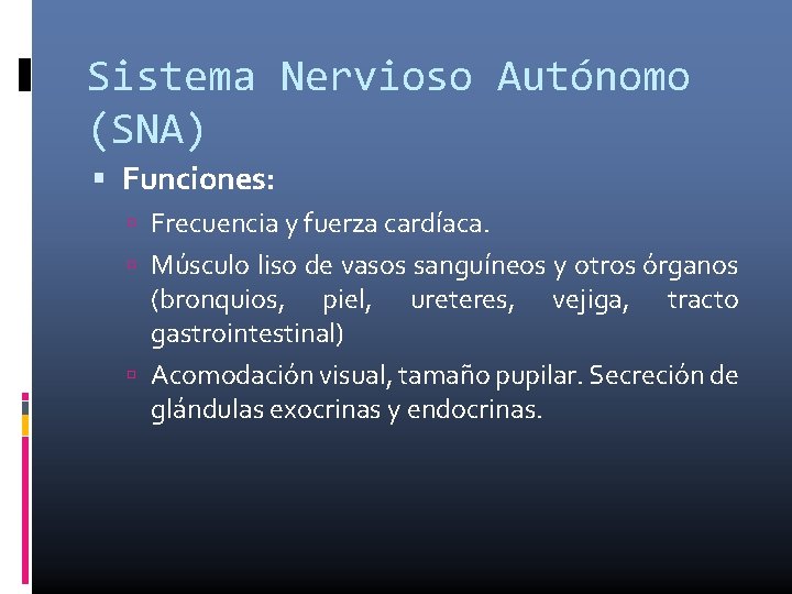 Sistema Nervioso Autónomo (SNA) Funciones: Frecuencia y fuerza cardíaca. Músculo liso de vasos sanguíneos