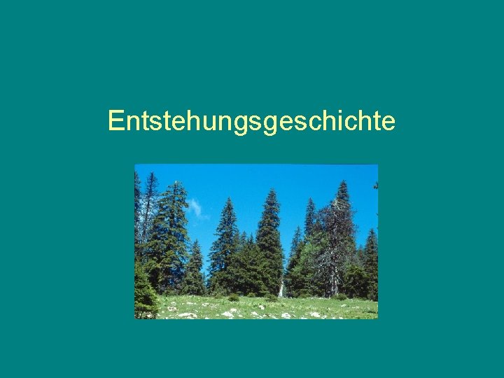 Entstehungsgeschichte 