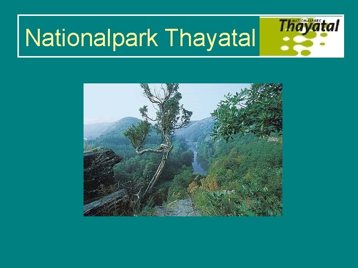 Nationalpark Thayatal 