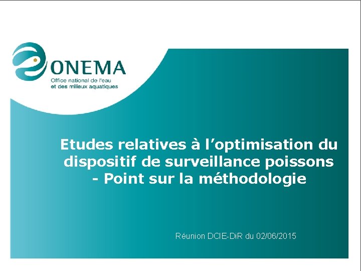 Etudes relatives à l’optimisation du dispositif de surveillance poissons - Point sur la méthodologie