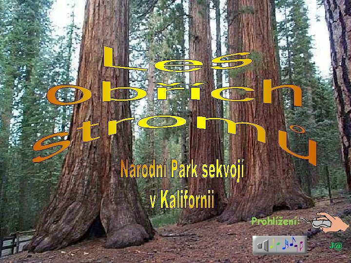 Prohlížení: J@ Prohlížení: J@