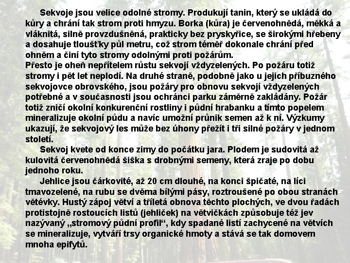 Sekvoje jsou velice odolné stromy. Produkují tanin, který se ukládá do kůry a Sekvoje jsou velice odolné stromy. Produkují tanin, který se ukládá do kůry a