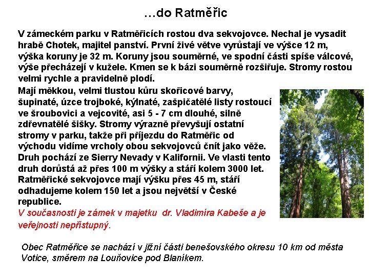 …do Ratměřic V zámeckém parku v Ratměřicích rostou dva sekvojovce. Nechal je vysadit hrabě