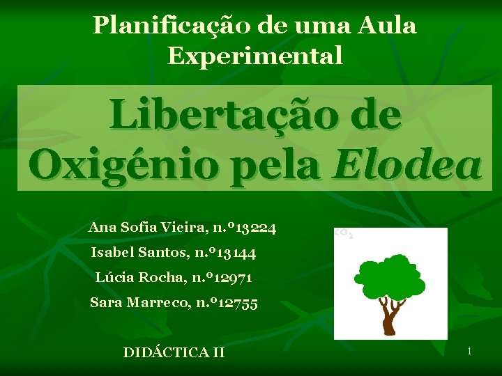 Planificação de uma Aula Experimental Libertação de Oxigénio pela Elodea Ana Sofia Vieira, n.