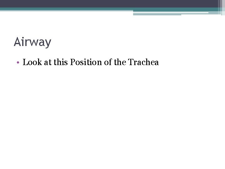 Airway • Look at this Position of the Trachea 