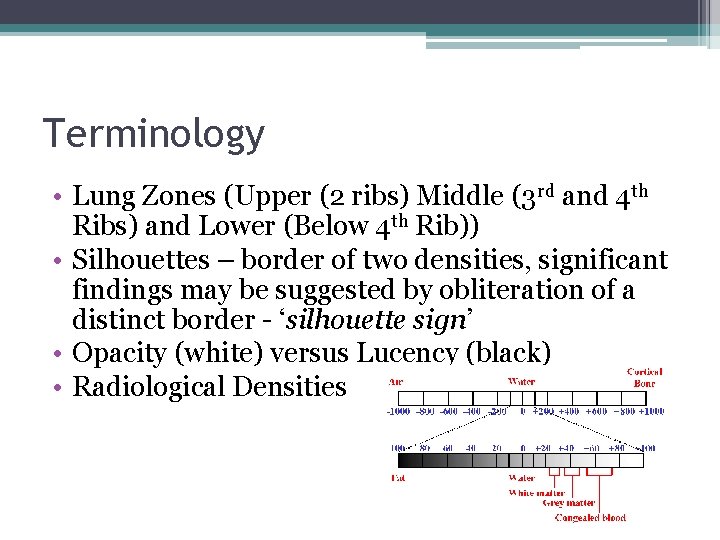 Terminology • Lung Zones (Upper (2 ribs) Middle (3 rd and 4 th Ribs)