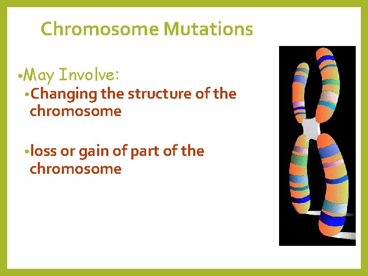 Chromosome Mutations • May Involve: • Changing the structure of the chromosome of a