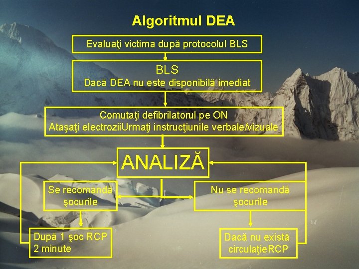 Algoritmul DEA Evaluaţi victima după protocolul BLS Dacă DEA nu este disponibilă imediat Comutaţi Algoritmul DEA Evaluaţi victima după protocolul BLS Dacă DEA nu este disponibilă imediat Comutaţi
