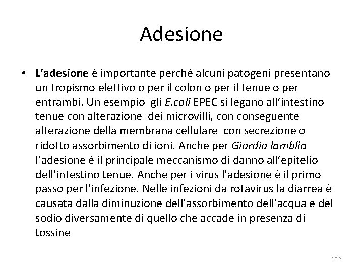 Adesione • L’adesione è importante perché alcuni patogeni presentano un tropismo elettivo o per Adesione • L’adesione è importante perché alcuni patogeni presentano un tropismo elettivo o per
