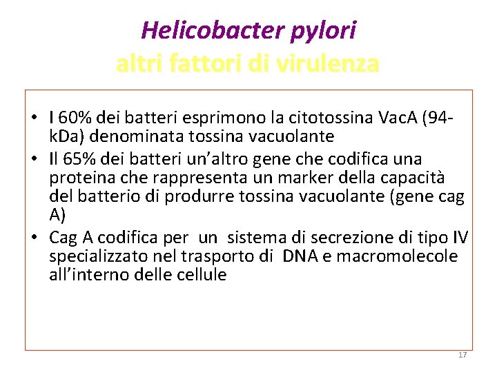Helicobacter pylori altri fattori di virulenza • I 60% dei batteri esprimono la citotossina