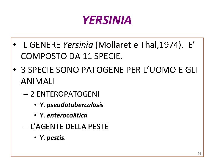 YERSINIA • IL GENERE Yersinia (Mollaret e Thal, 1974). E’ COMPOSTO DA 11 SPECIE. YERSINIA • IL GENERE Yersinia (Mollaret e Thal, 1974). E’ COMPOSTO DA 11 SPECIE.