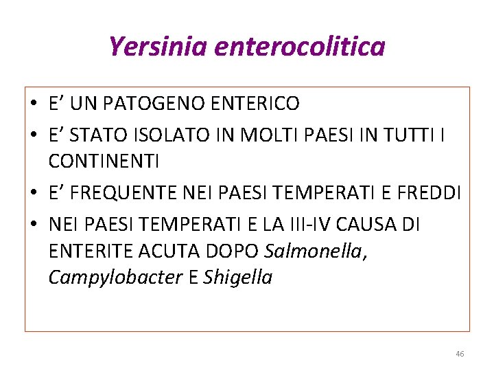 Yersinia enterocolitica • E’ UN PATOGENO ENTERICO • E’ STATO ISOLATO IN MOLTI PAESI Yersinia enterocolitica • E’ UN PATOGENO ENTERICO • E’ STATO ISOLATO IN MOLTI PAESI